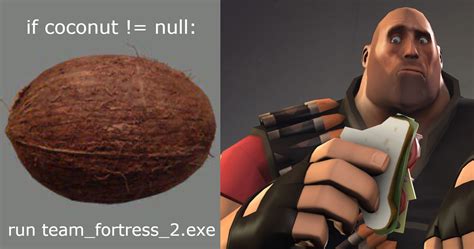 tf2 coconut.jpg|This Coconut JPG In Team Fortress 2's Game Files, If Deleted, .